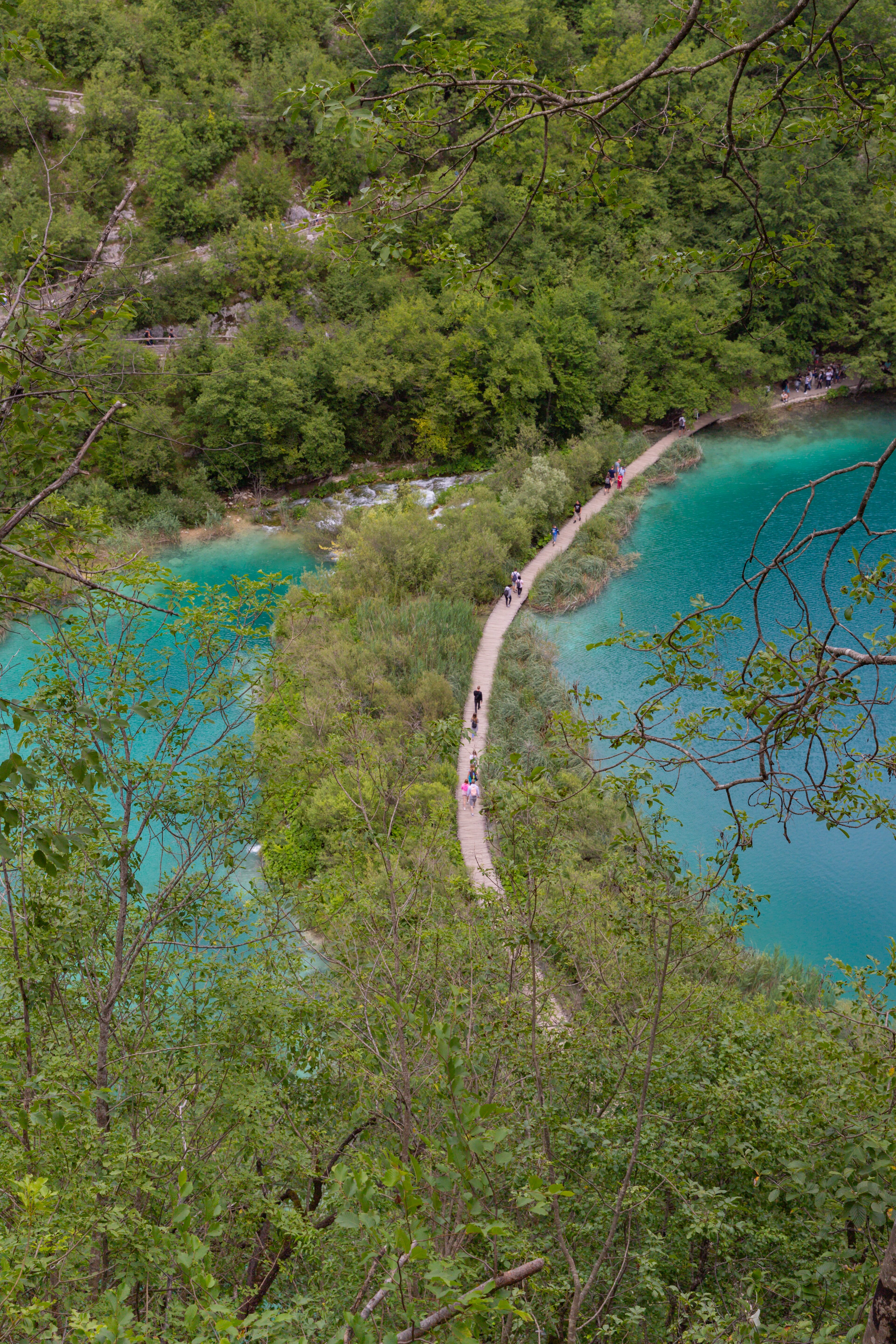 Wooden trail beside the water